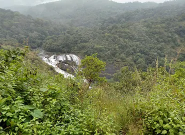 Waterfall amid Sakleshpur greenery